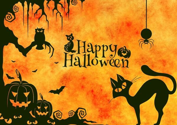 Bild Halloween Zoo