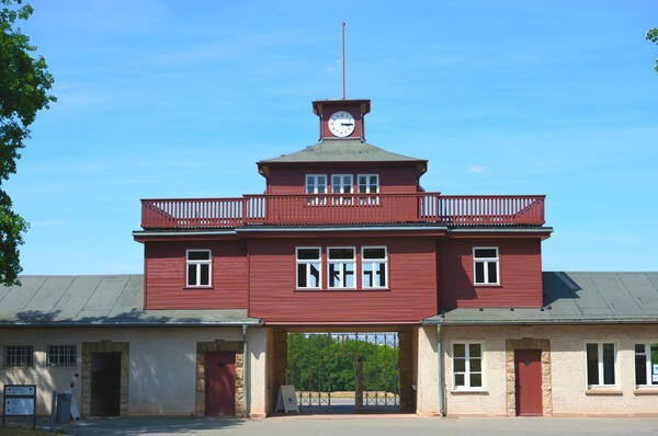 Bild Buchenwald