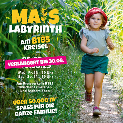 Maislabyrinth_2025_FBBeitrag_940x788
