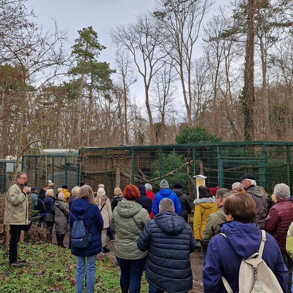 Neujahrsspaziergang Zoo