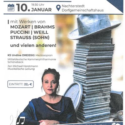 Plakat_Neujahrskonzert 2026_01_10