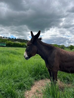 Bild vergr&ouml;&szlig;ern: Forsthaus Friedrichshohenberg - Schriftsteller Jean Back zu Gast in der W4G Region