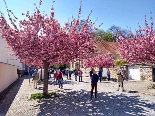 Der besondere Osterspaziergang