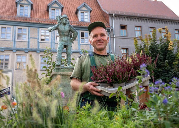 Grüner Markt in Aschersleben 