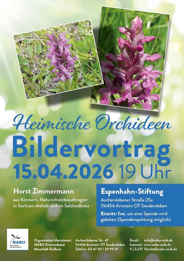 Bild vergr&ouml;&szlig;ern: Bildvortrag Heimische Orchideen